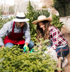 EL JARDÍN DEL CHEF: EL HUERTO EN EL RESTAURANTE