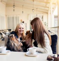 EL PET FRIENDLY: GOSSOS I GATS TENEN LLOC AL RESTAURANT