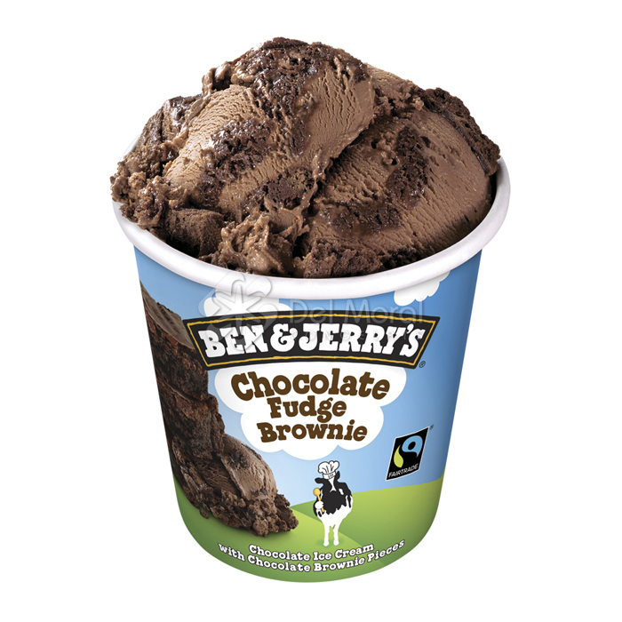 CHOCOLATE FUDGE BROWNIE - BEN & JERRY'S