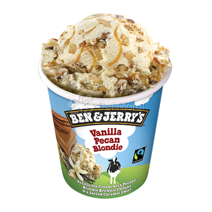 B&J VAINILLA PECAN BLONDIE - BEN & JERRY'S