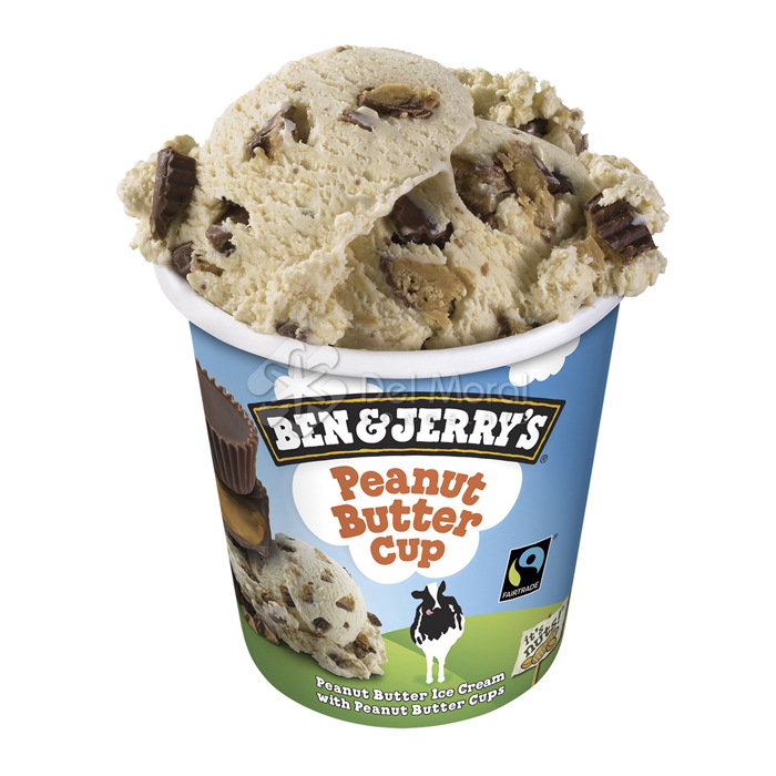 PEANUT BUTTER CUP - BEN & JERRY'S