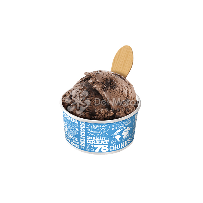 B&J CHOCO FUDGE BROWNIE - BEN & JERRY'S