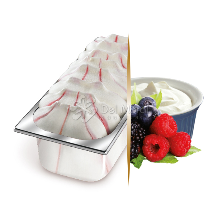 YOGUR Y FRUTAS DEL BOSQUE - CARTE D'OR