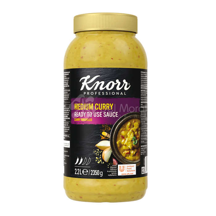 SALSA CURRY - KNORR