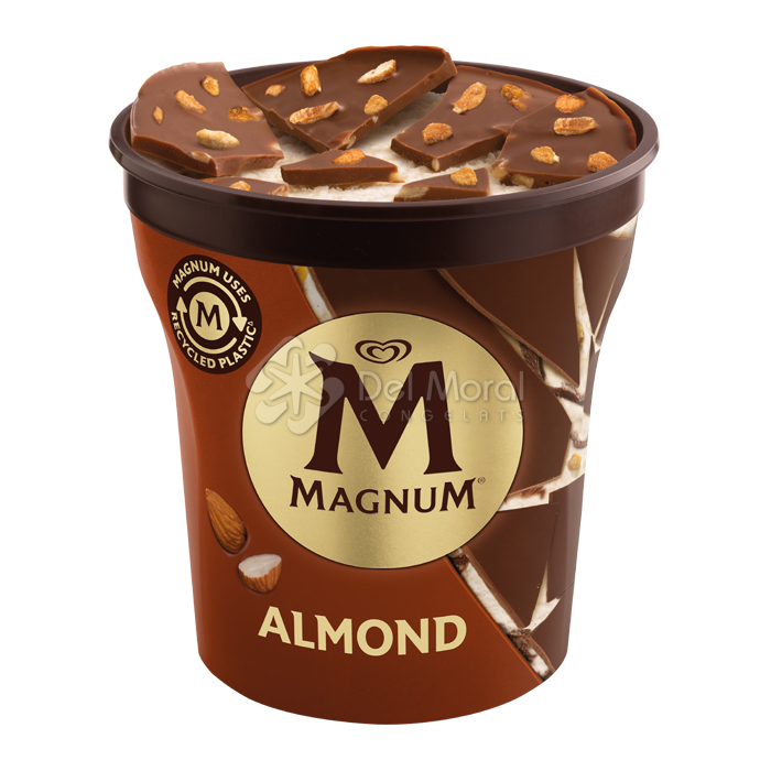 MAGNUM TARRINA ALMENDRAS