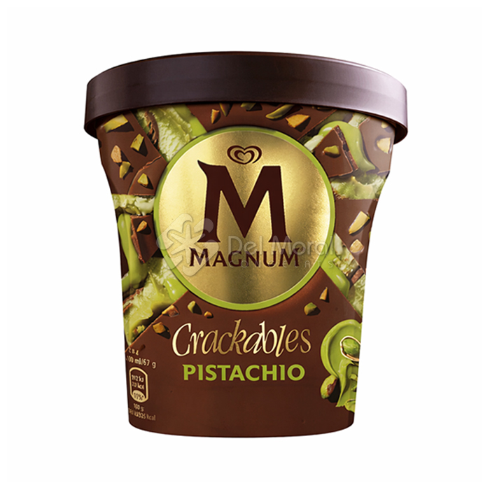 MAGNUM TARRINA FESTUC-