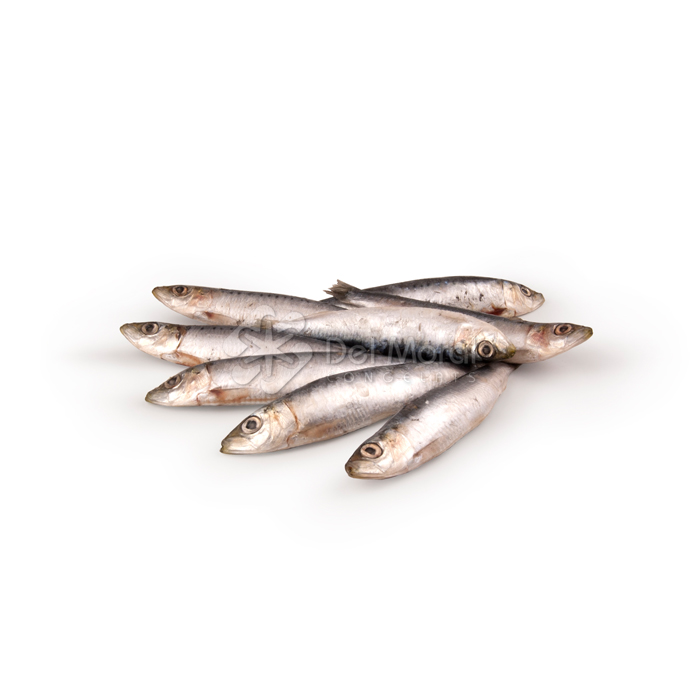 SARDINA