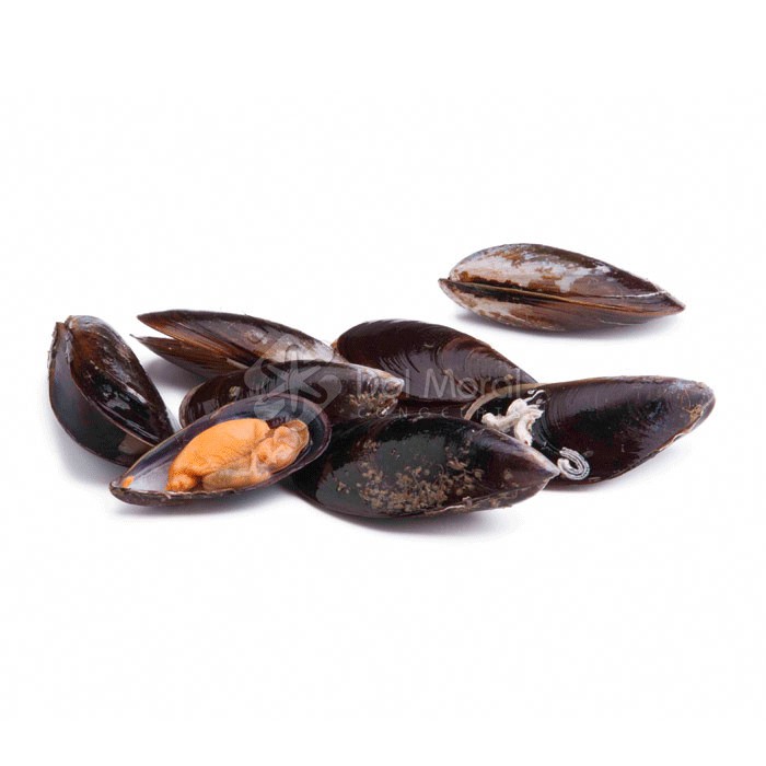 MEJILLONES ENTEROS JUGOSONES - 