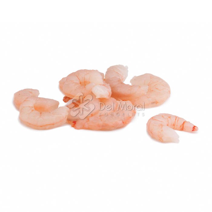 GAMBA PELADA - SEAWORK