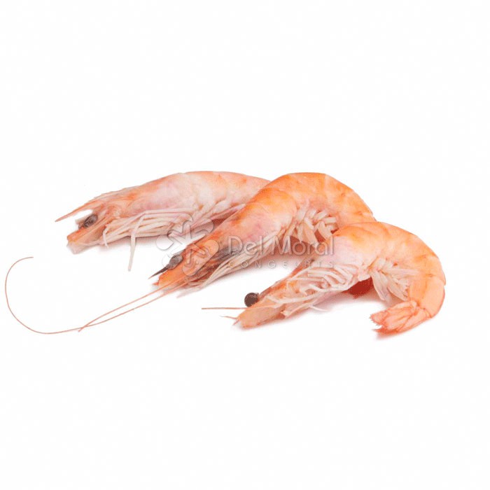 LANGOSTINO COCIDO - FRIO CONDAL