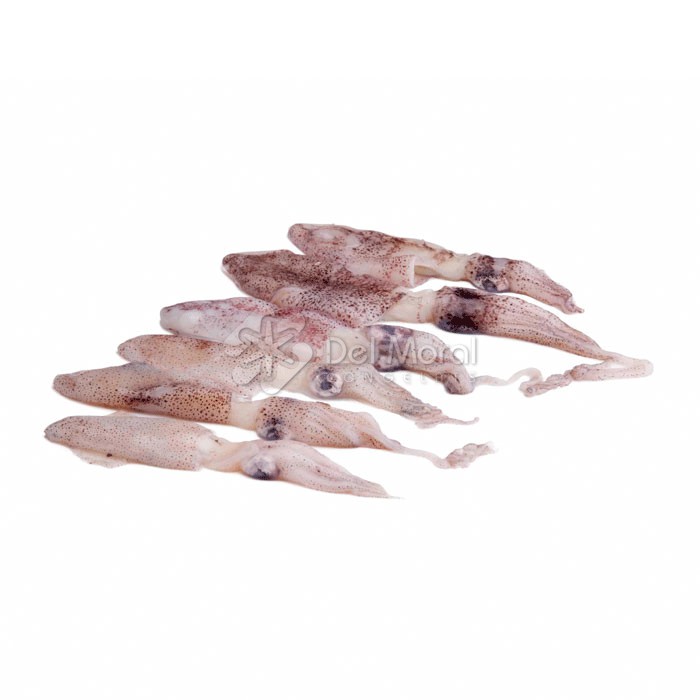 PUNTILLA XINA SENSE PLUMA - MANET IMPORT