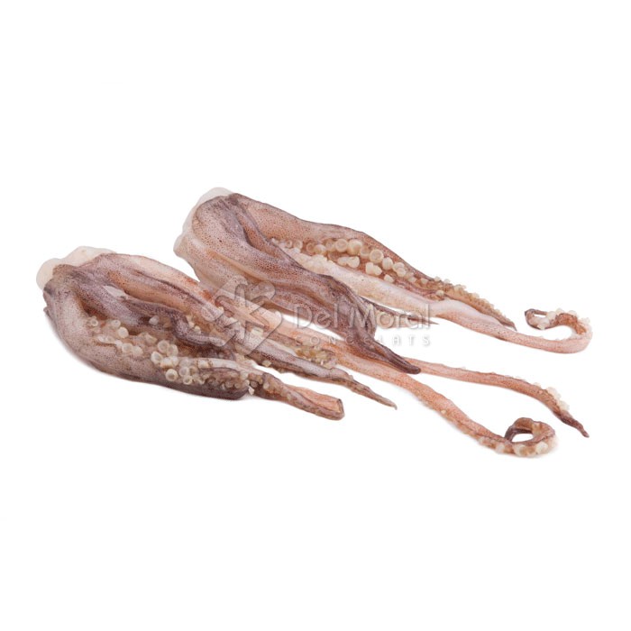 REJOS PATAS - ANEDILCO