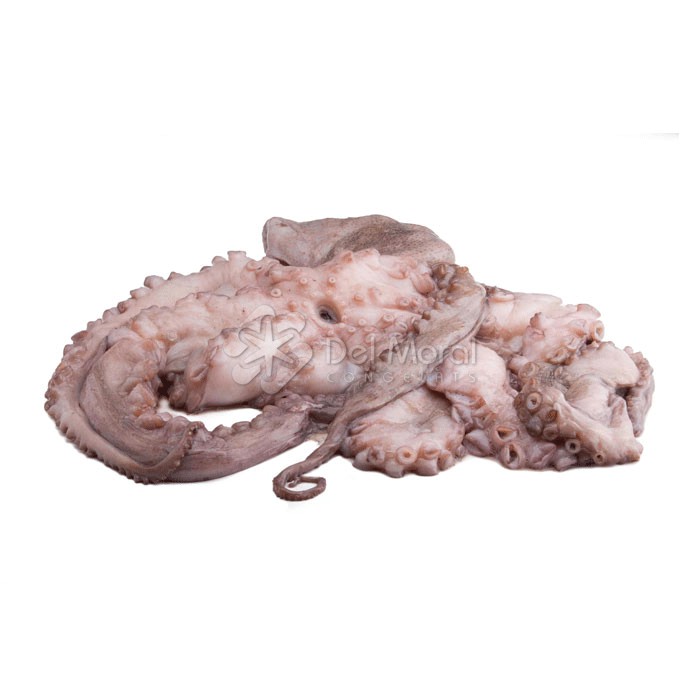 PULPO ENTERO