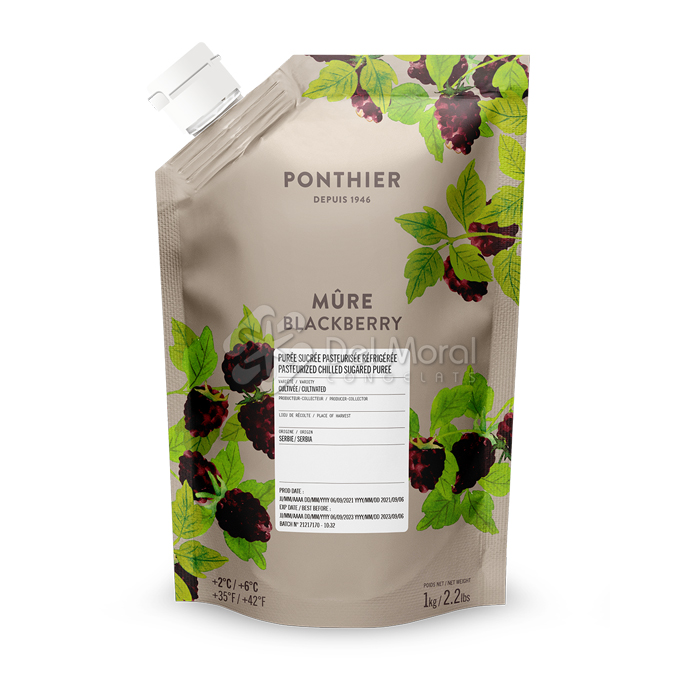 PURÉ DE MORA - KEN FOODS - SNEL
