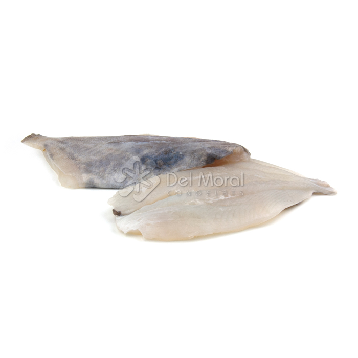 FILET DE GALL SANT PERE - MANET IMPORT