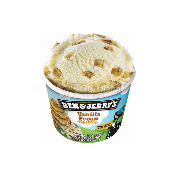 VAINILLA PECAN BRITTLE - BEN & JERRY'S