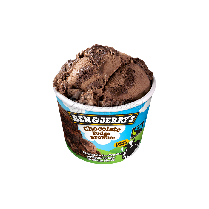 CHOCOLATE FUDGE BROWNIE - BEN & JERRY'S