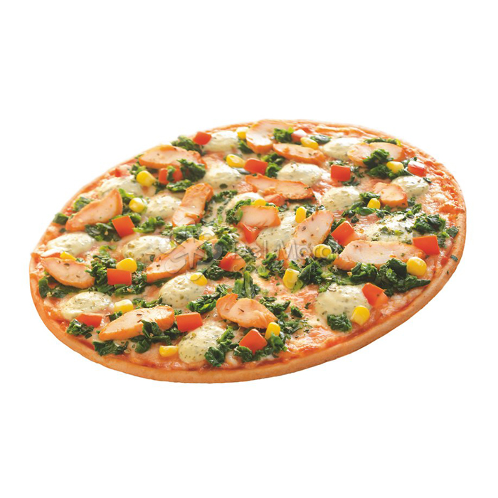 PIZZA POLLO - DR.OETKER